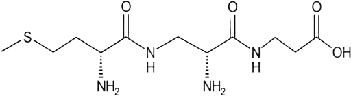 MOTS-c skeletal structure