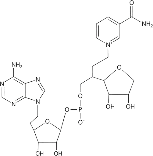 NAD+ skeletal structure